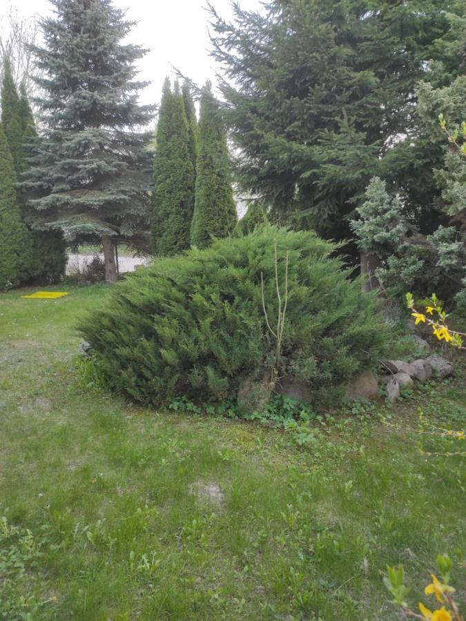 Apartamenty Z Ogrodem Nr 2 Typu Studio Mrągowo Exteriör bild